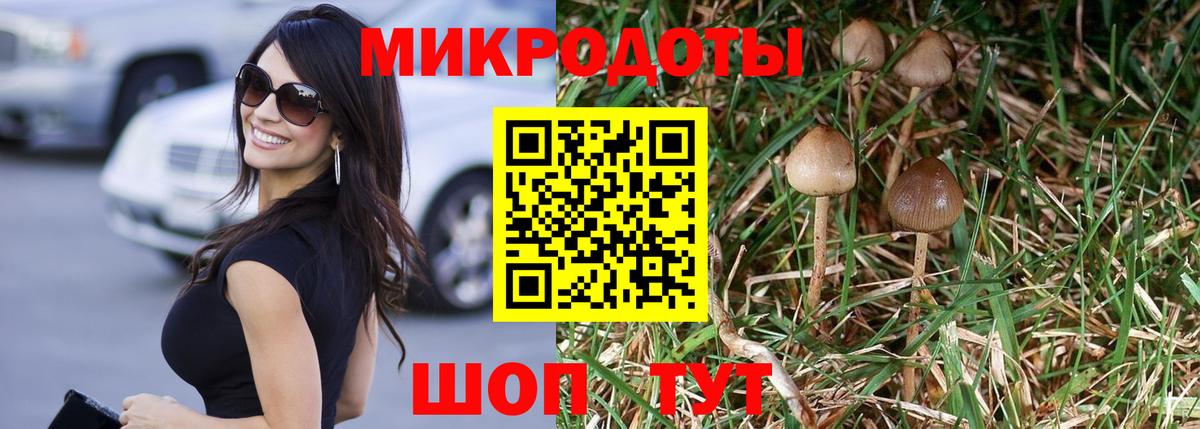 Галлюциногенные грибы GOLDEN TEACHER Аксай