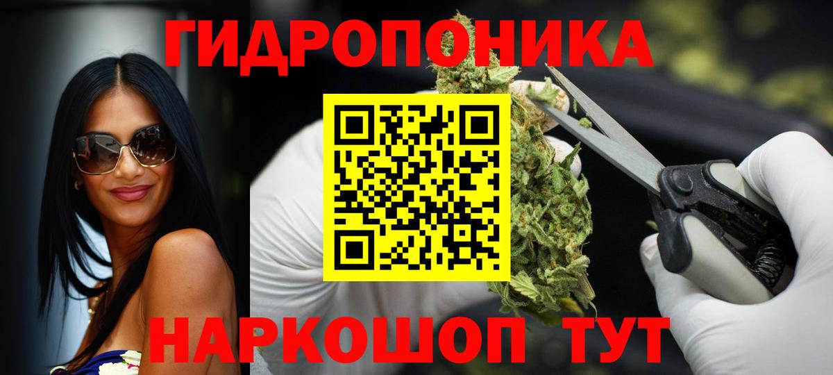 Марихуана сатива Аксай